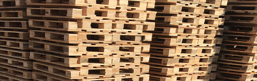 ÖZEL ÖLÇÜLÜ PALET